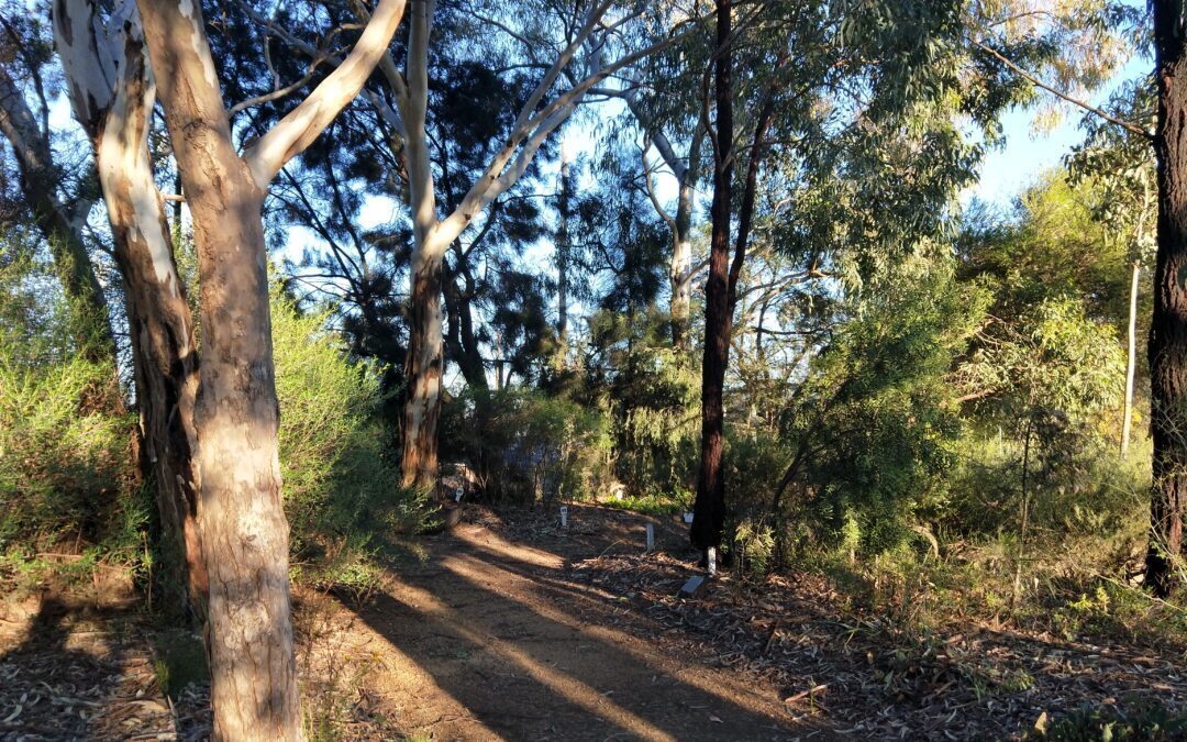 Grenfell Endemic Garden