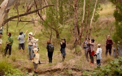 Birding NSW Autumn 2023 Survey