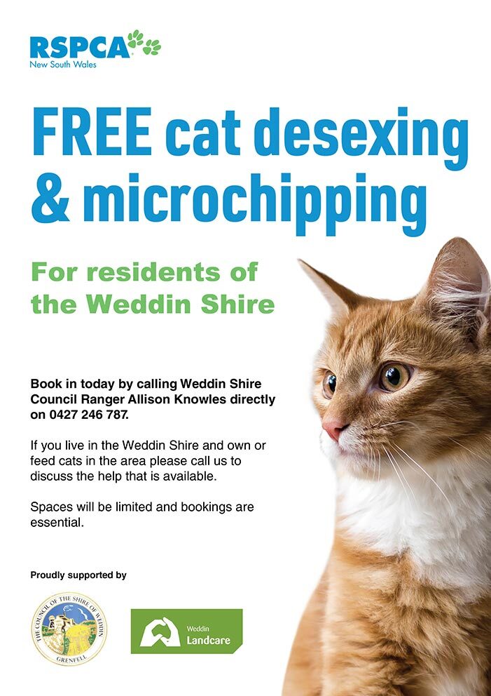 Cat-desexing-flyer Free cat desexing and mi crochipping