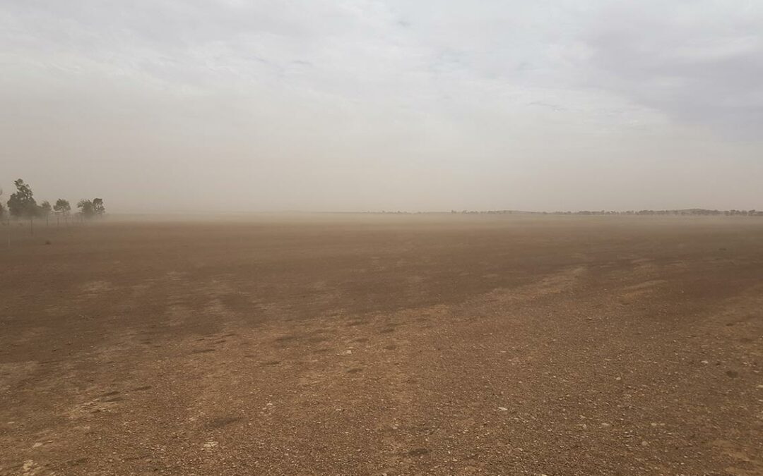 Small Environmental Grants 2021