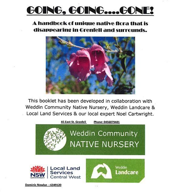 Grenfell Native Flora