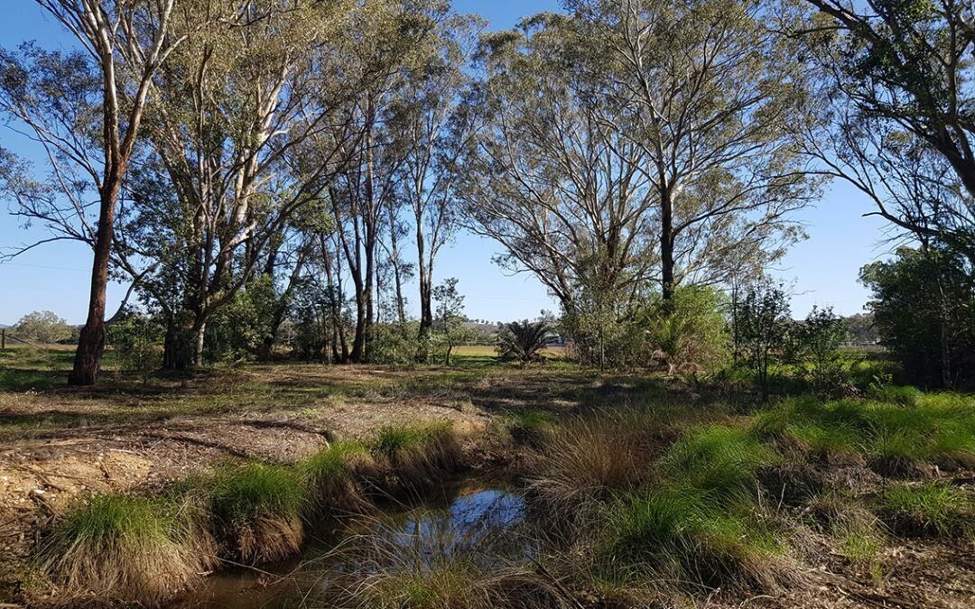 Vaughn’s Dam Reserve