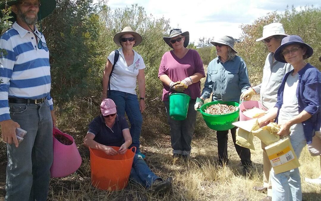 Seed Collecting Workshop