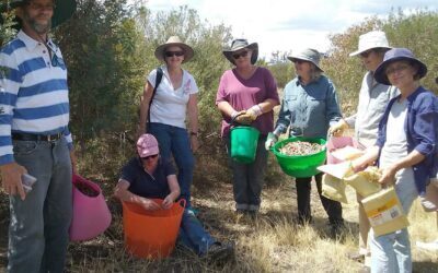 Seed Collecting Workshop