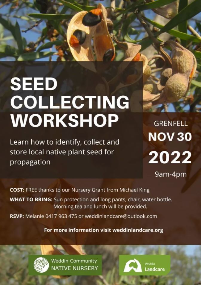 Seed Collecting Workshop | Weddin Landcare