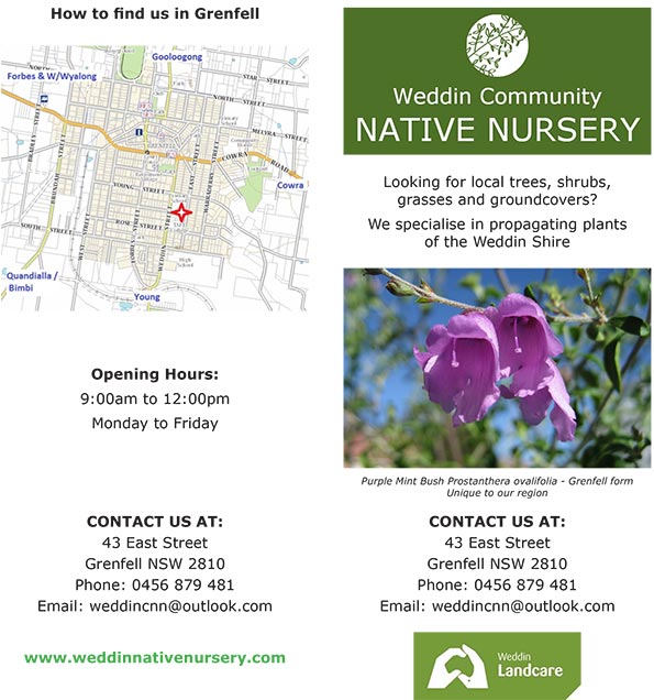 Weddin Community Native Nursery
