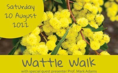 Wattle Day
