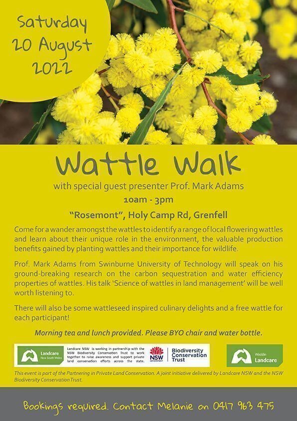 wattle-day-walk-2022-Grenfell-NSW Wattle Walk at Grenfell NSW special guest Prof. Mark Adams