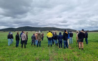 Weddin Grazing Group Field Day