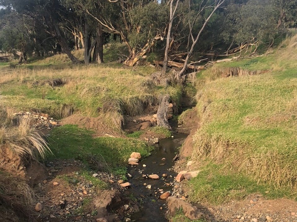 Site 2 - Jump Up Rock Creek
