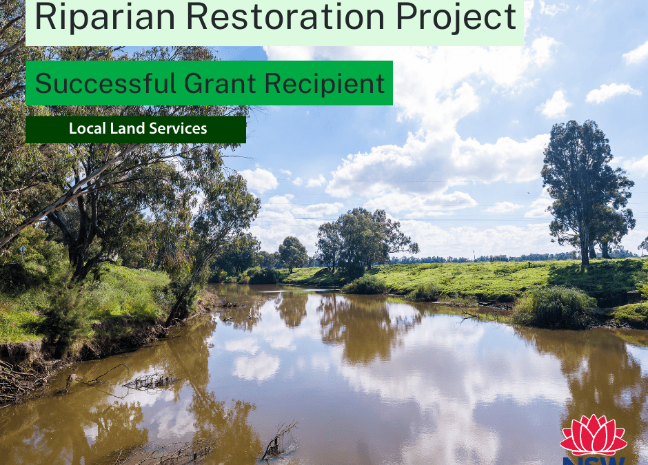 Completion of Ooma Riparian Restoration Project
