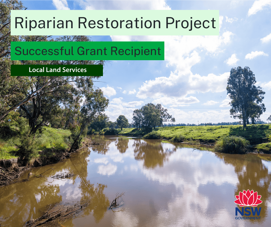 Riparian Restoration Stakeholder Tile 2