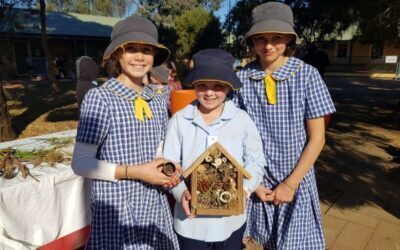 Birds, Bats and Bugs School Education Program