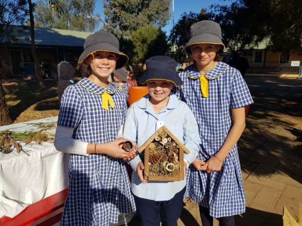 Birds, Bats and Bugs School Education Program