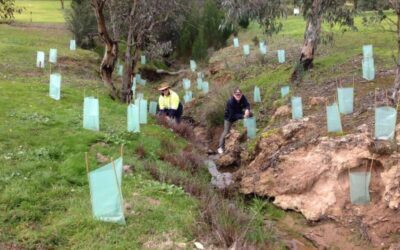 Revegetation Techniques Workshop and Tree Planting Day