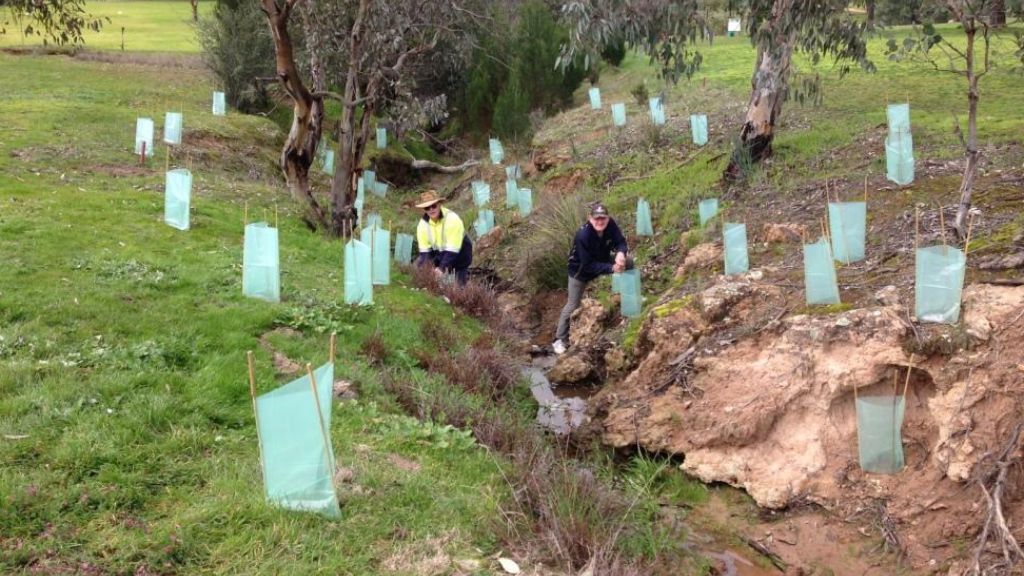Revegetation Techniques Workshop and Tree Planting Day