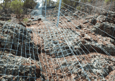 Goat proof fence