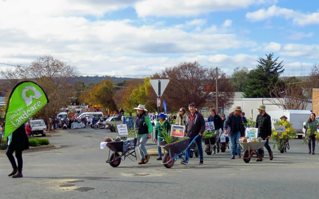 Weddin Landcare Strategic Plan 2023 -2027