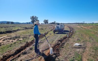 Volunteer to Plant Trees