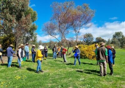 There was a good crowd at this year's Wattle Day Walk