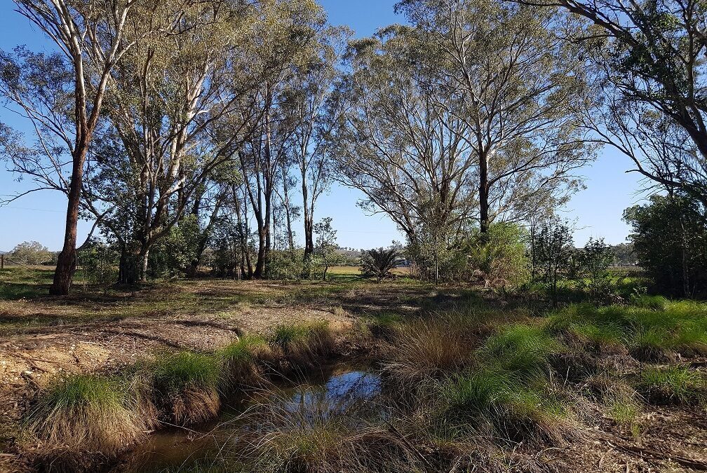 Vaughn’s Dam Reserve Masterplan