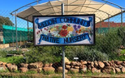 Volunteer at the Weddin Community Native Nursery