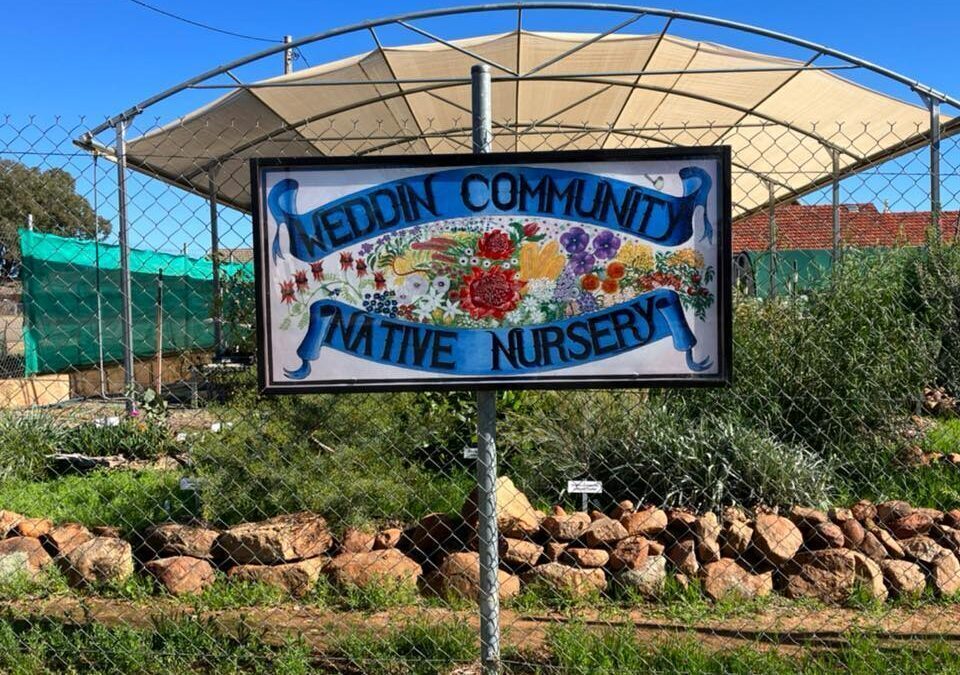 Volunteer at the Weddin Community Native Nursery