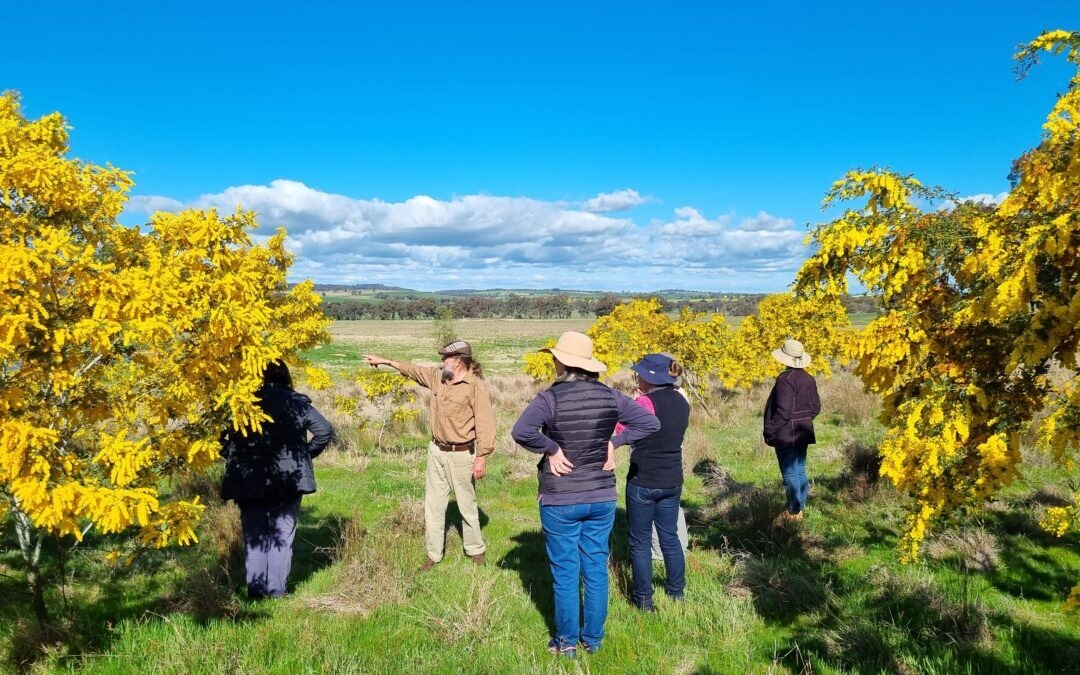Weddin Landcare Annual Report 2022 to 2023