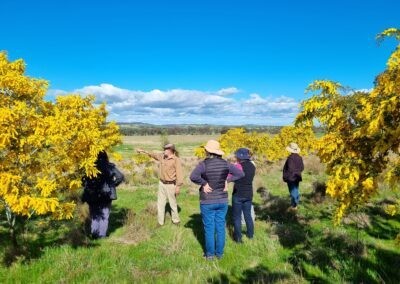 Wayne explaining Wattles to a few participants