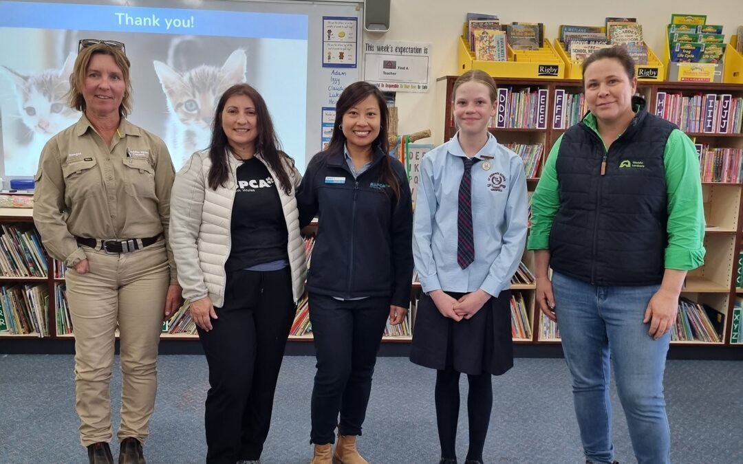 New Incentive To Keep Cats Safe At Home