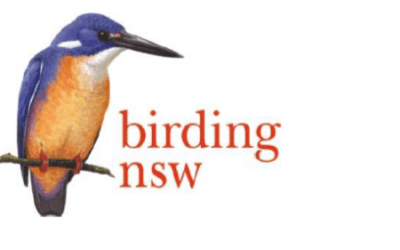 Birding NSW Autumn 2024 Bird Survey