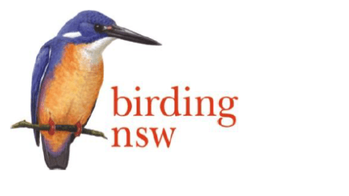 Birding NSW Autumn 2024 Bird Survey