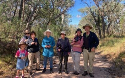 Twenty-third Birding NSW Survey Around Grenfell