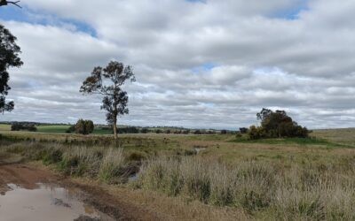 Weddin Landcare building capacity to measure salinity in landscapes