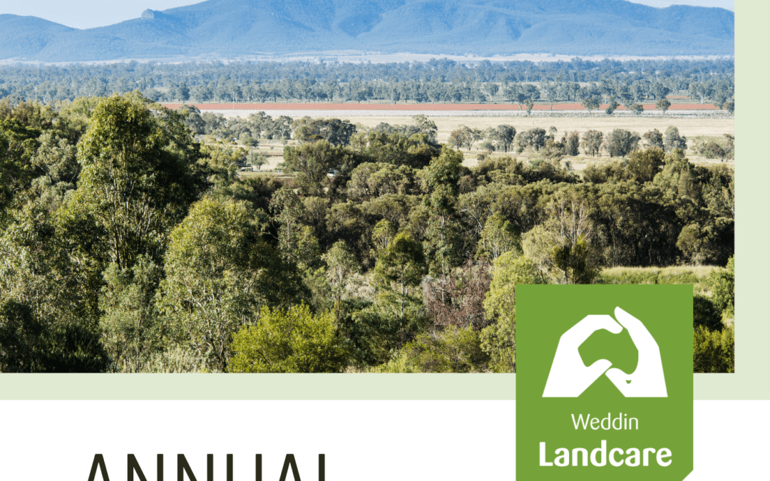 2023-2024 Annual Report Released