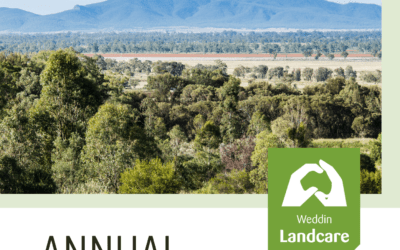 2023-2024 Annual Report Released