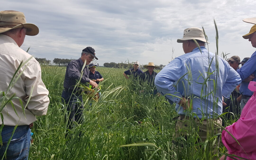 Weddin Landcare receives Australian Government grant to help farmers adopt climate-smart agricultural practices