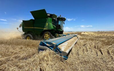Strip ‘n Disc Cropping Systems Field Day