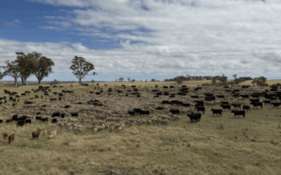 Microbe Friendly Farming