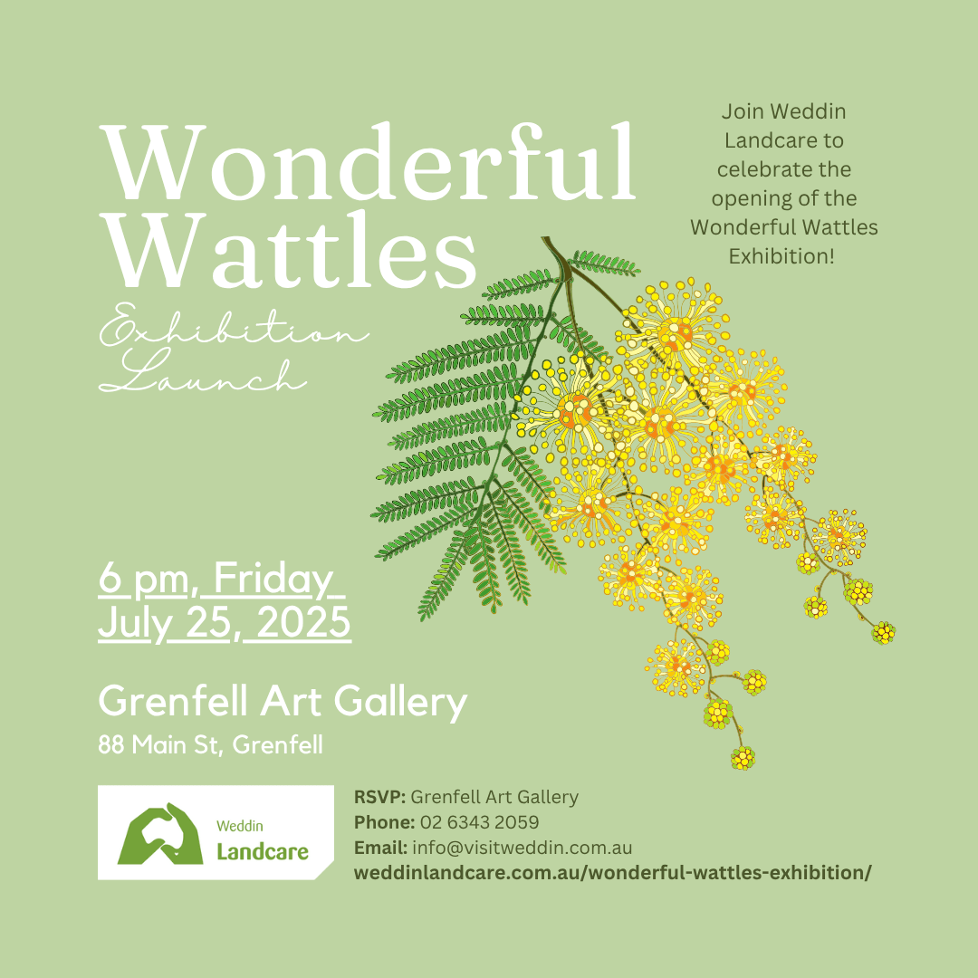 Wonderful Wattles Exhibition Launch Fb
