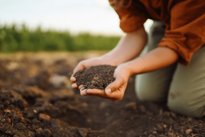 From Scraps to Soil – A practical composting workshop