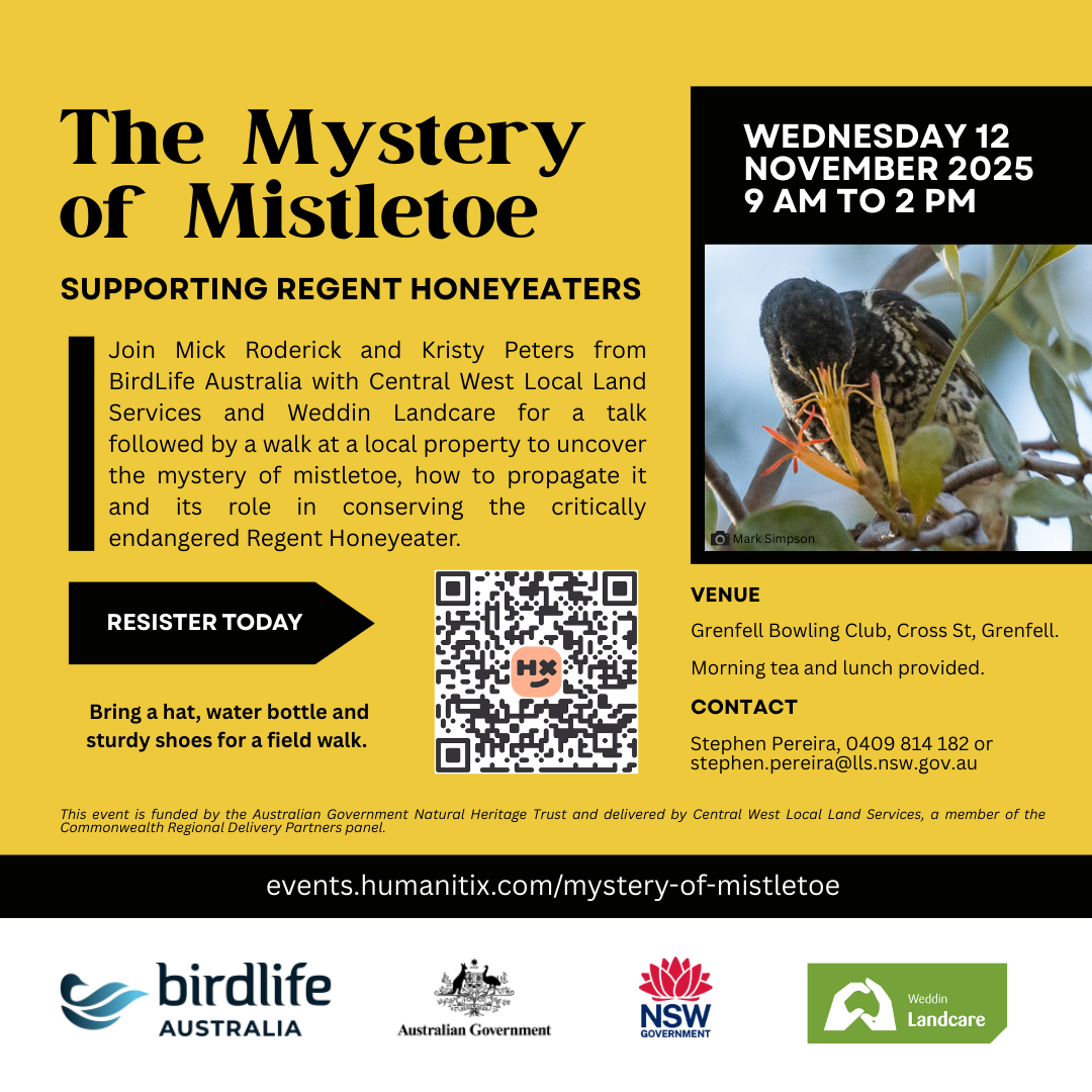 Mistletoe Workshop - FB