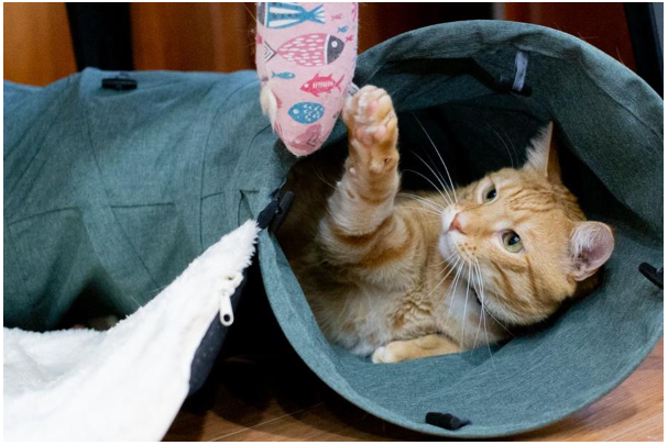 Screenshot 2024-09-12 133314