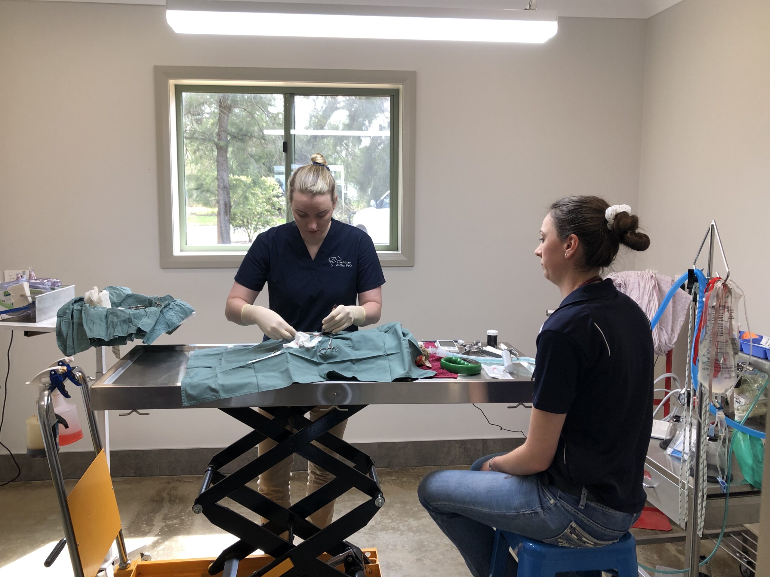 The free cat desexing program has been very successful to date and will continue in 2024.