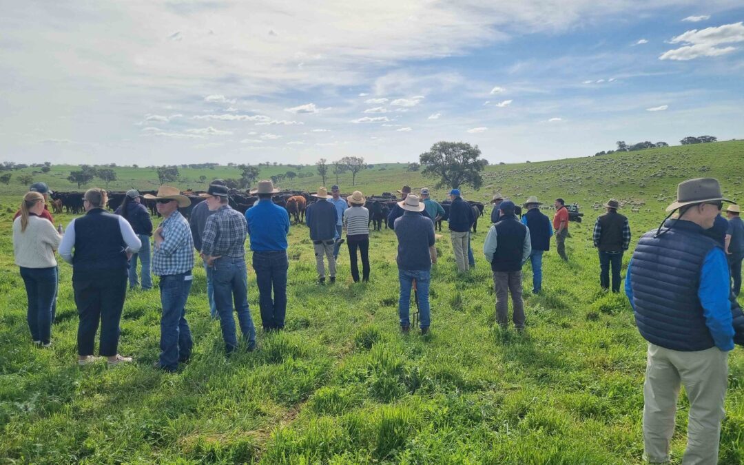 Microbe Friendly Farming Field Day at ‘Tumbleton’