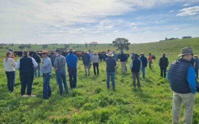 Microbe Friendly Farming Field Day at ‘Tumbleton’