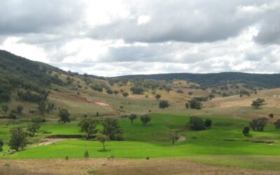 Landscape Rehydration Field Day