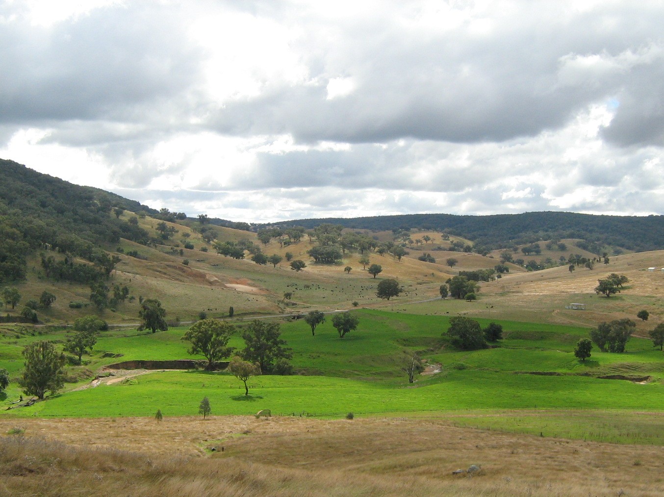 Rolling hills with green grass