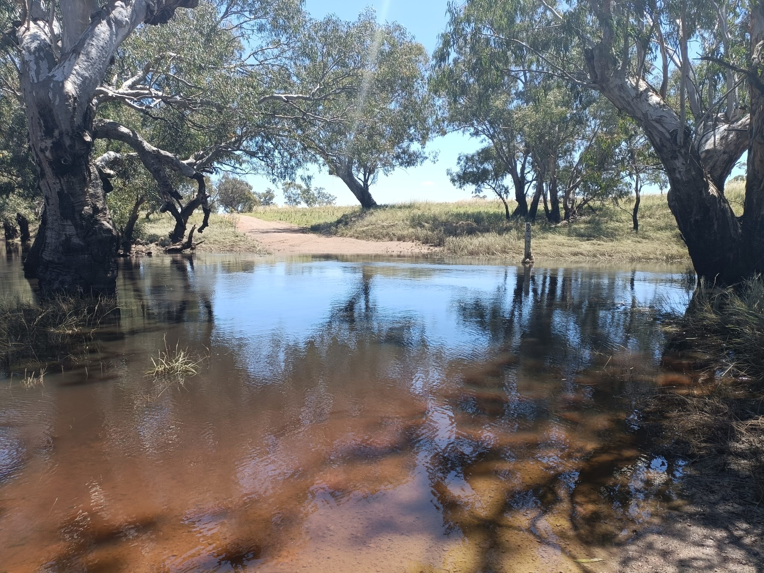 The Bland Creek overflowing after significant rainfall