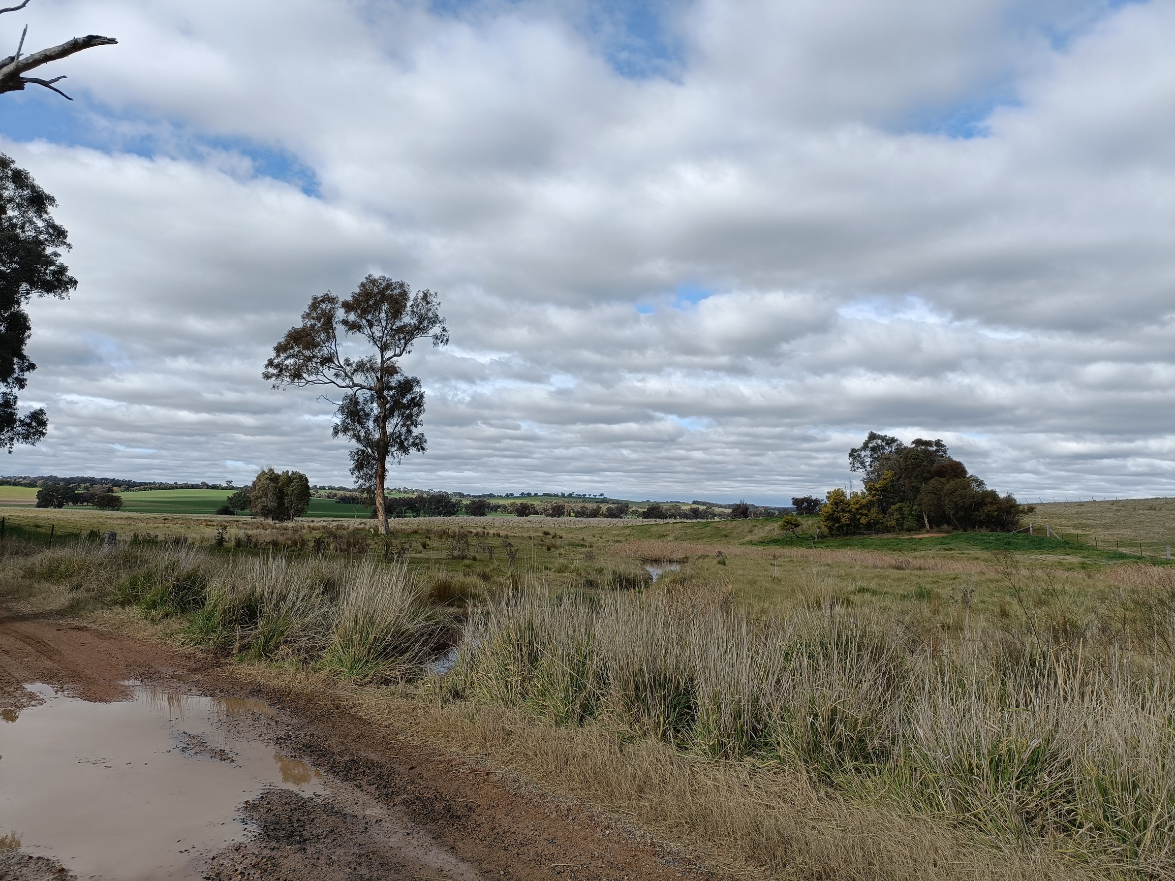 Tyagong Creek flowing across a gravel road near Greenethorpe NSW.
